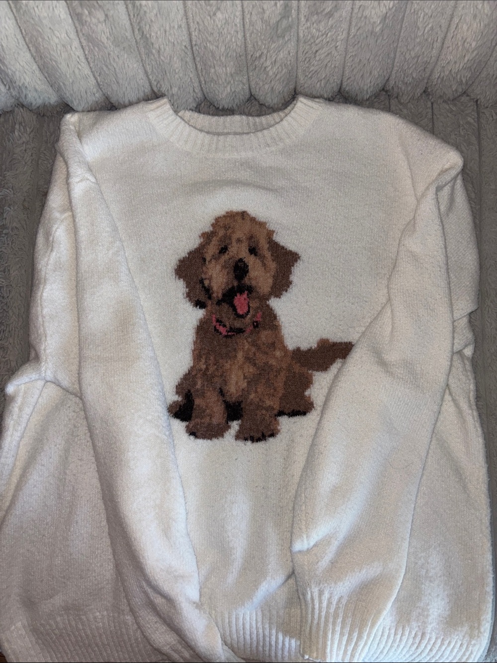 Hollister White Sweater with Brown Dog Graphic Size S
